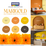 October Birth Flower Color Inspiration