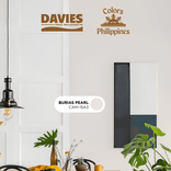 Colors Of The Philippines Collection by Davies Paints