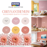 November Birth Flower Color Inspiration